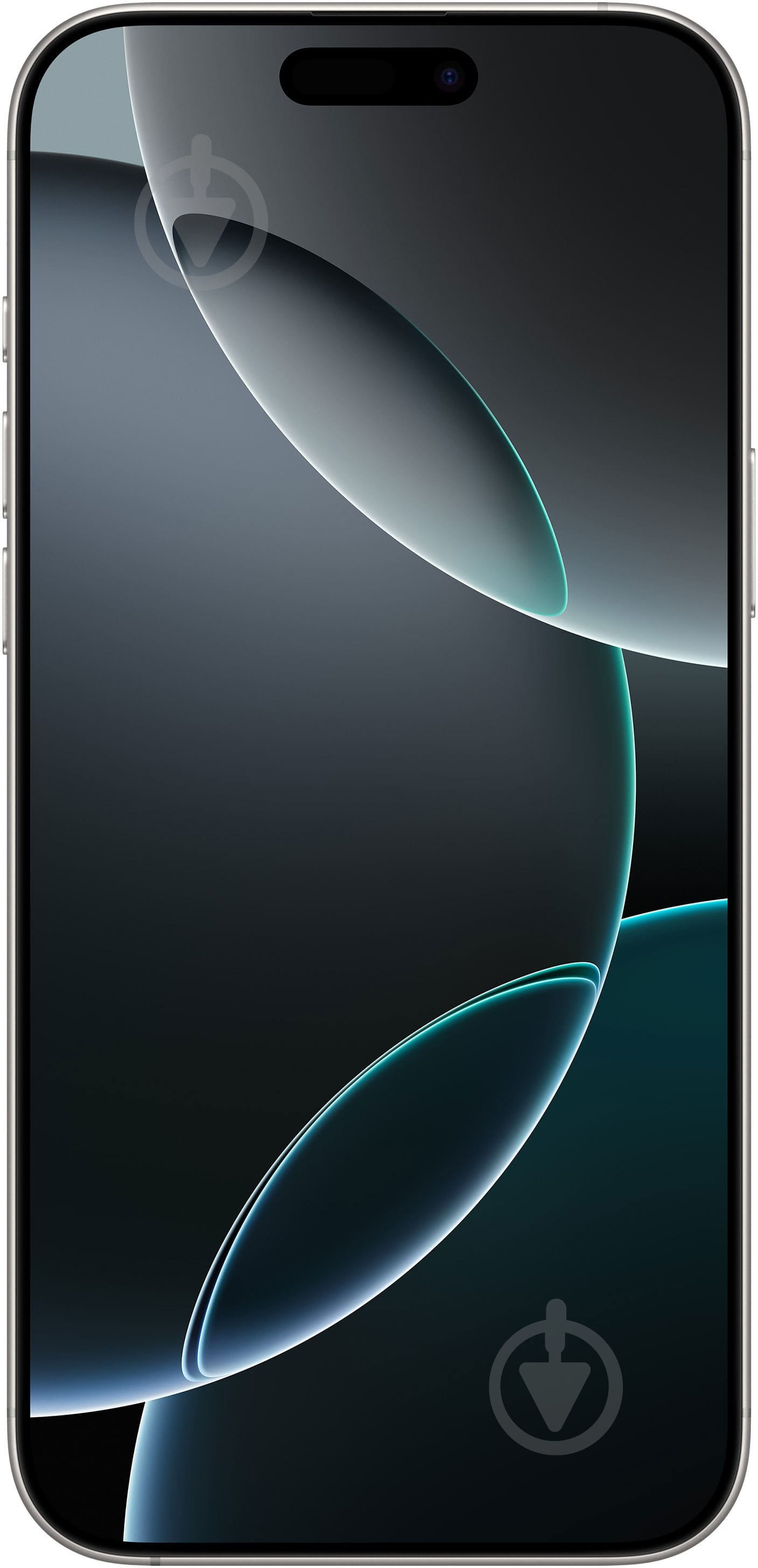 Смартфон Apple iPhone 16 Pro Max 1TB white titanium (MYX53SX/A) - фото 2