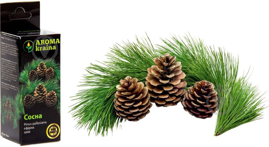 Эфирное масло Aroma kraina Сосна 20 мл - фото 1