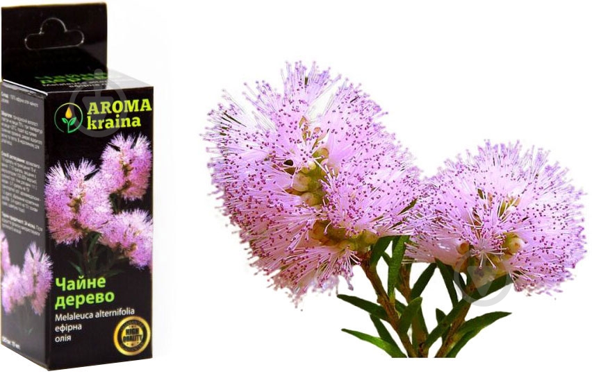 Ефірна олія Aroma kraina Чайне дерево 5 мл - фото 1 Ефірна олія Aroma kraina Чайне дерево 5 мл - фото 1