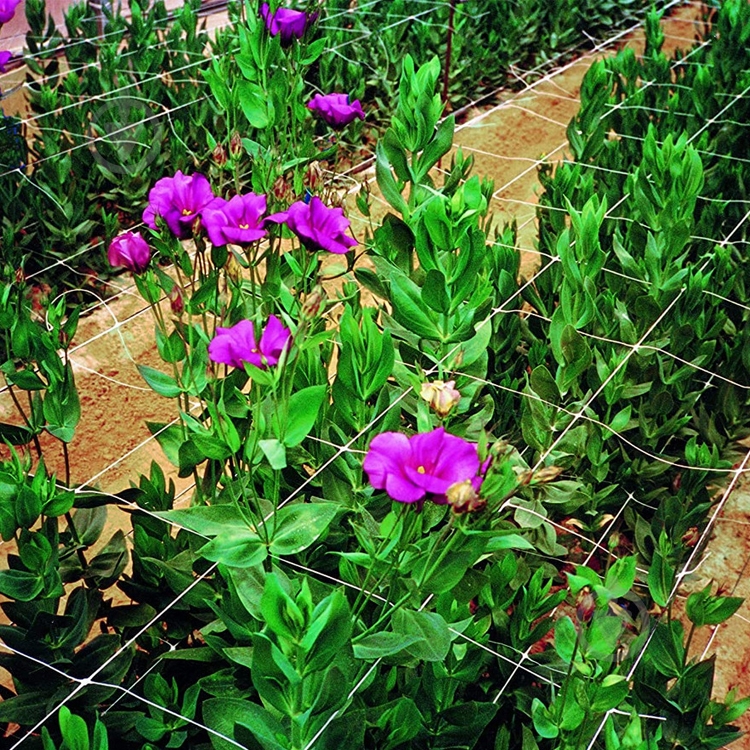 Сітка шпалерна (1,2м х 100м) вічко (10х10) 10,3 г/кв.м - фото 8 Сітка шпалерна (1,2м х 100м) вічко (10х10) 10,3 г/кв.м - фото 8