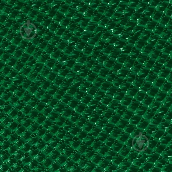 Доріжка BALTPLAST щетиниста брудозахисна темно-зелена 0,88 м (4740069-64) - фото 1