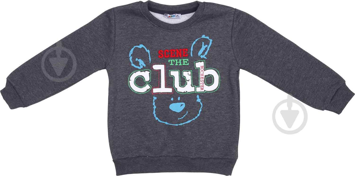 Свитшот для мальчика ALG р.98 серый 221454 - фото 2 Свитшот для мальчика ALG р.98 серый 221454 - фото 2