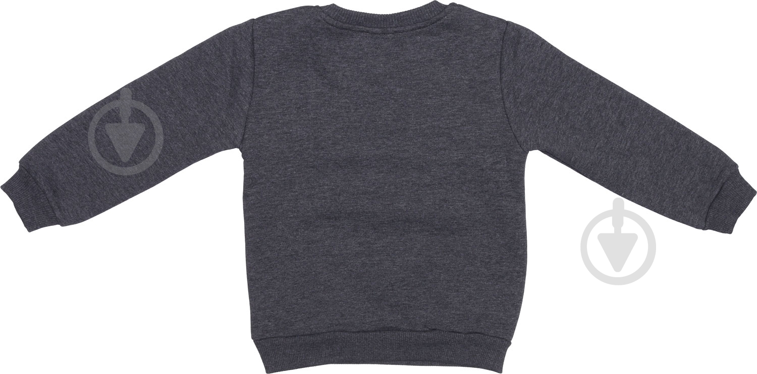 Свитшот для мальчика ALG р.110 серый 221454 - фото 3
