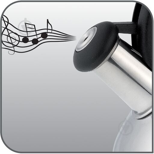 Tefal Duetto + 2.5 л N4180310 - фото 3 Tefal Duetto + 2.5 л N4180310 - фото 3