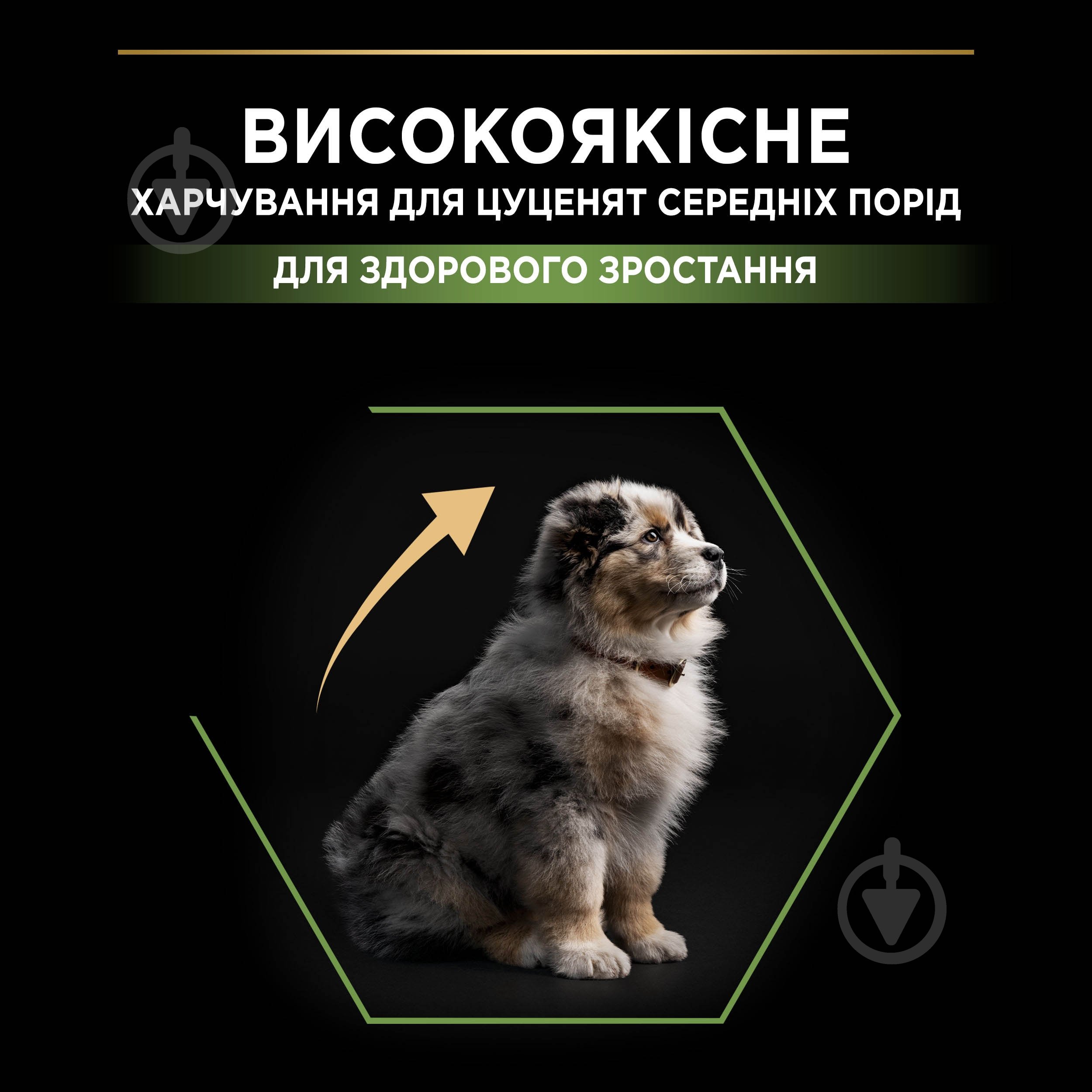 Корм сухой ProPlan by Purina Medium Puppy <1 Healthy Start для щенков с курицей 3 кг - фото 6