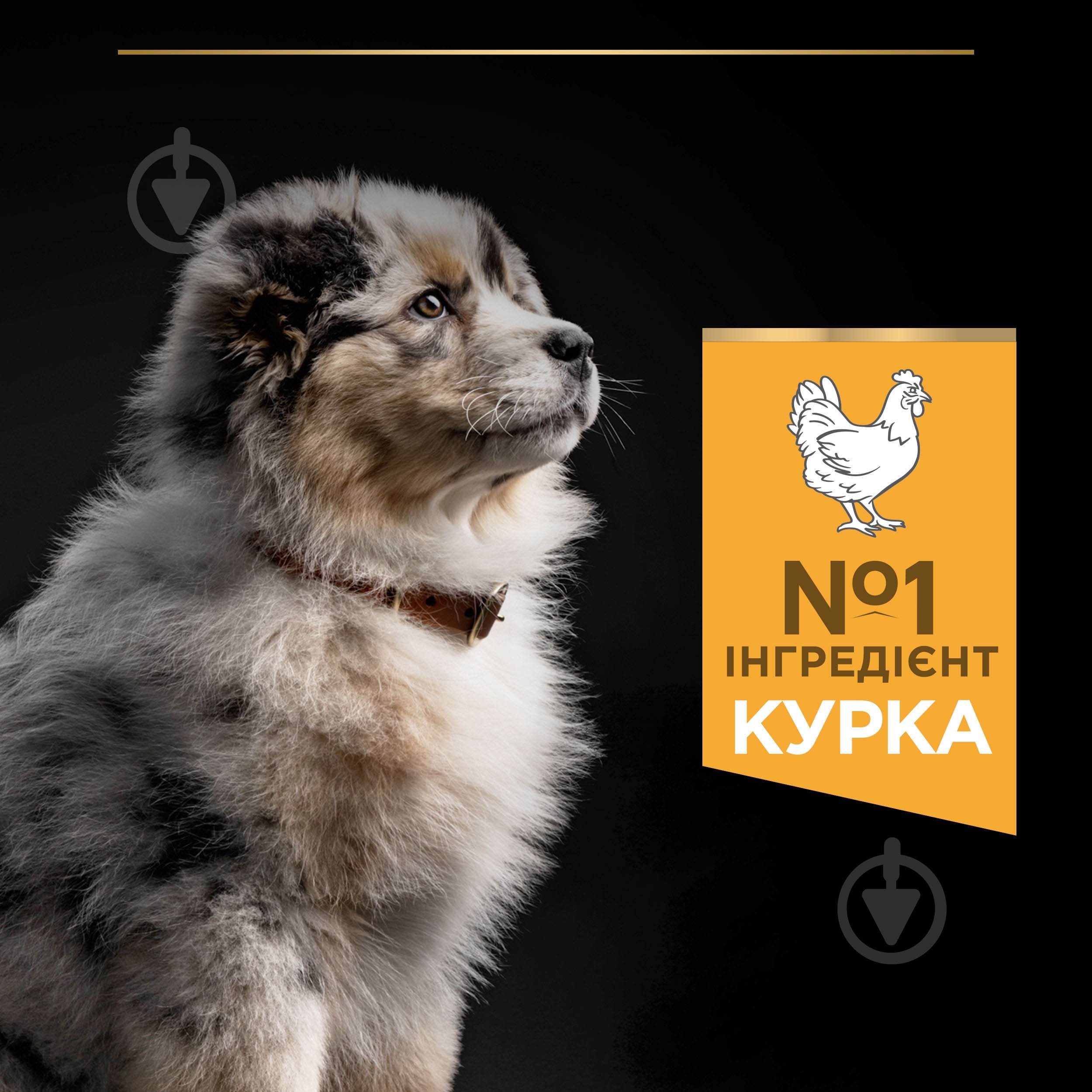 Корм сухой ProPlan by Purina Medium Puppy <1 Healthy Start для щенков с курицей 3 кг - фото 7