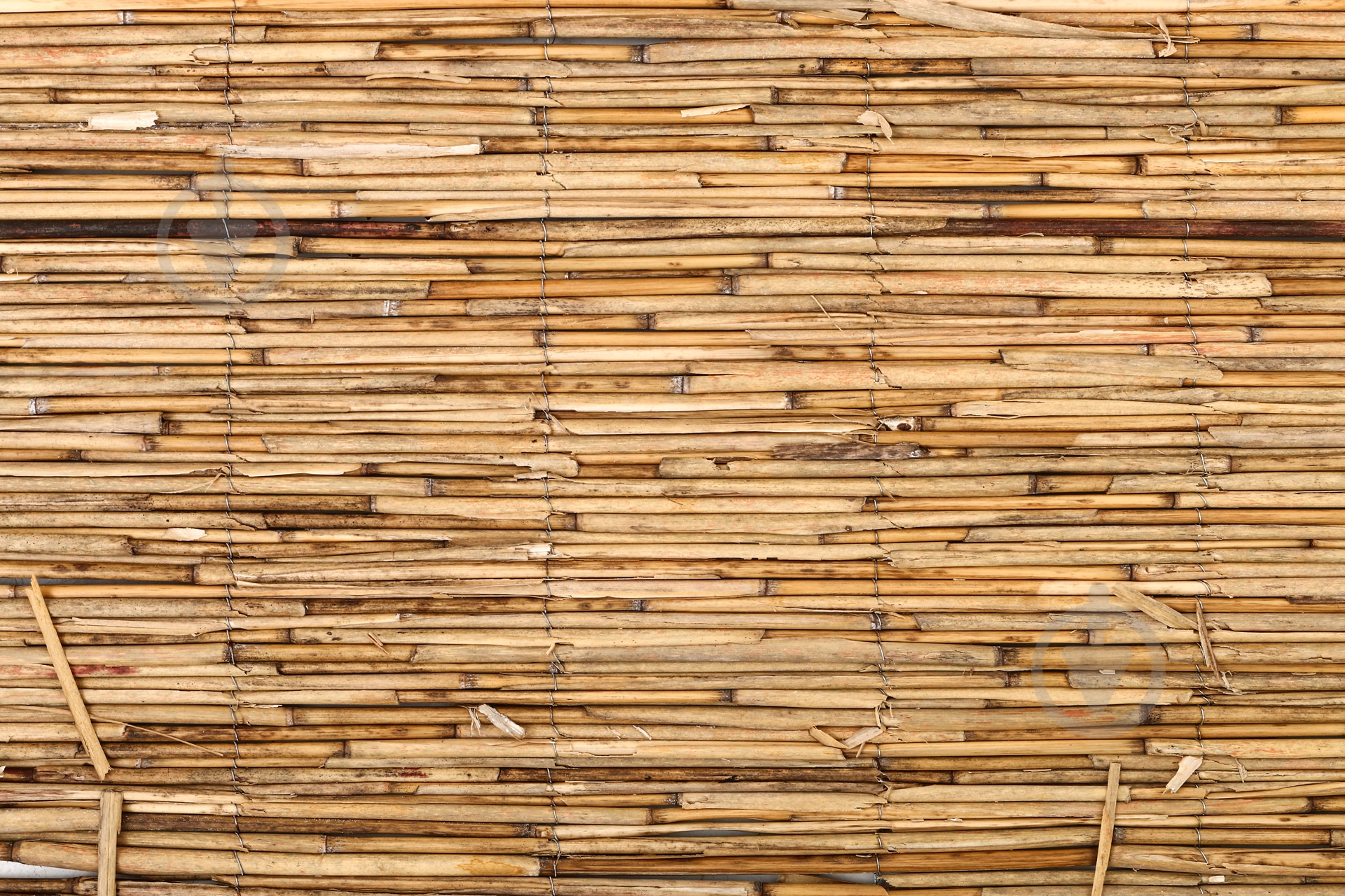 Мат из камыша 140x600 см - фото 3 Мат из камыша 140x600 см - фото 3