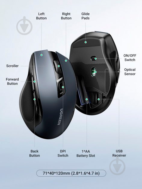 Мишка бездротова UGREEN MU006 Ergonomic Wireless Mouse 2.4G Wireless & Bluetooth black (90855) - фото 7