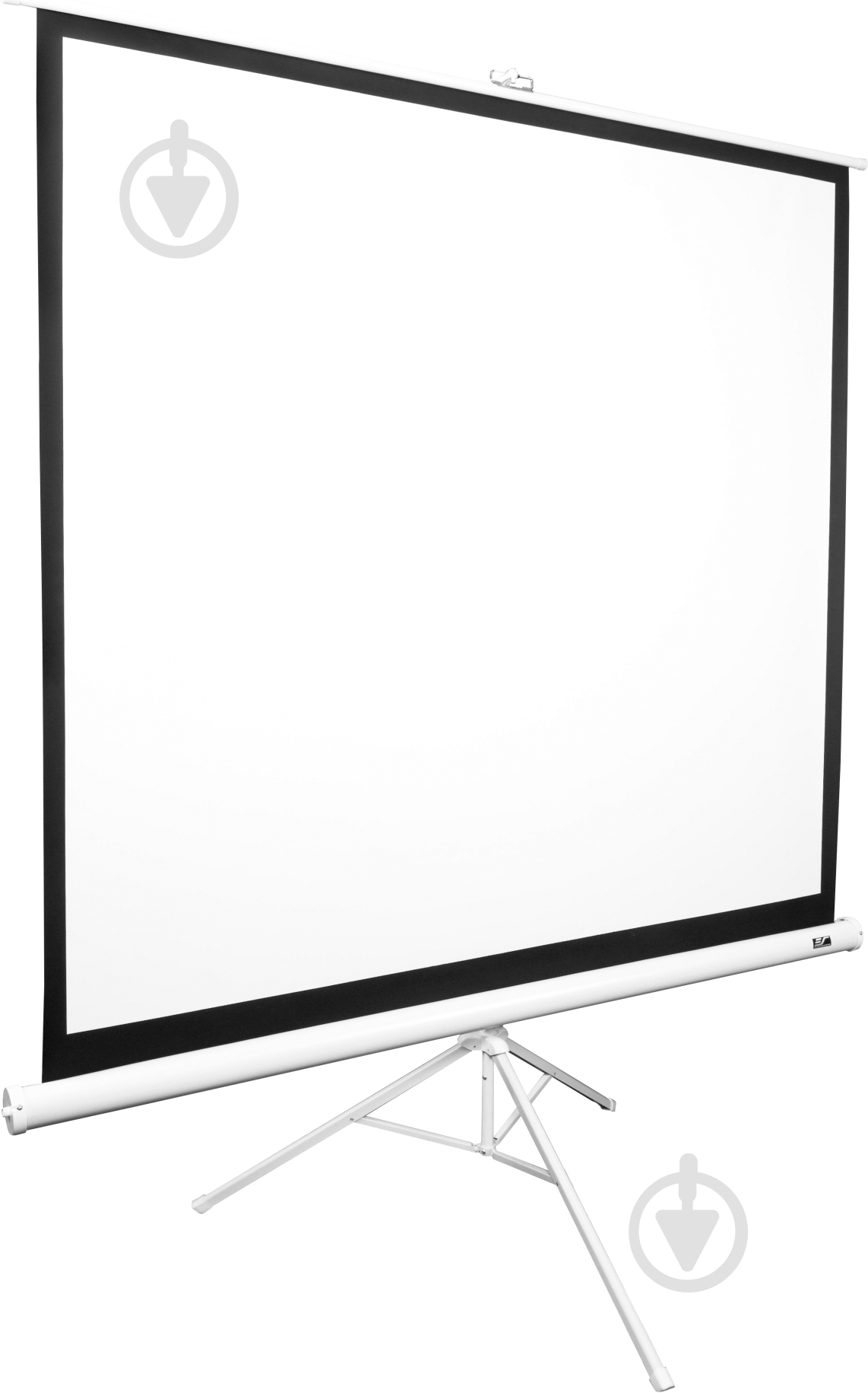 Экран настенный T85NWS1 ELITE SCREENS - фото 1