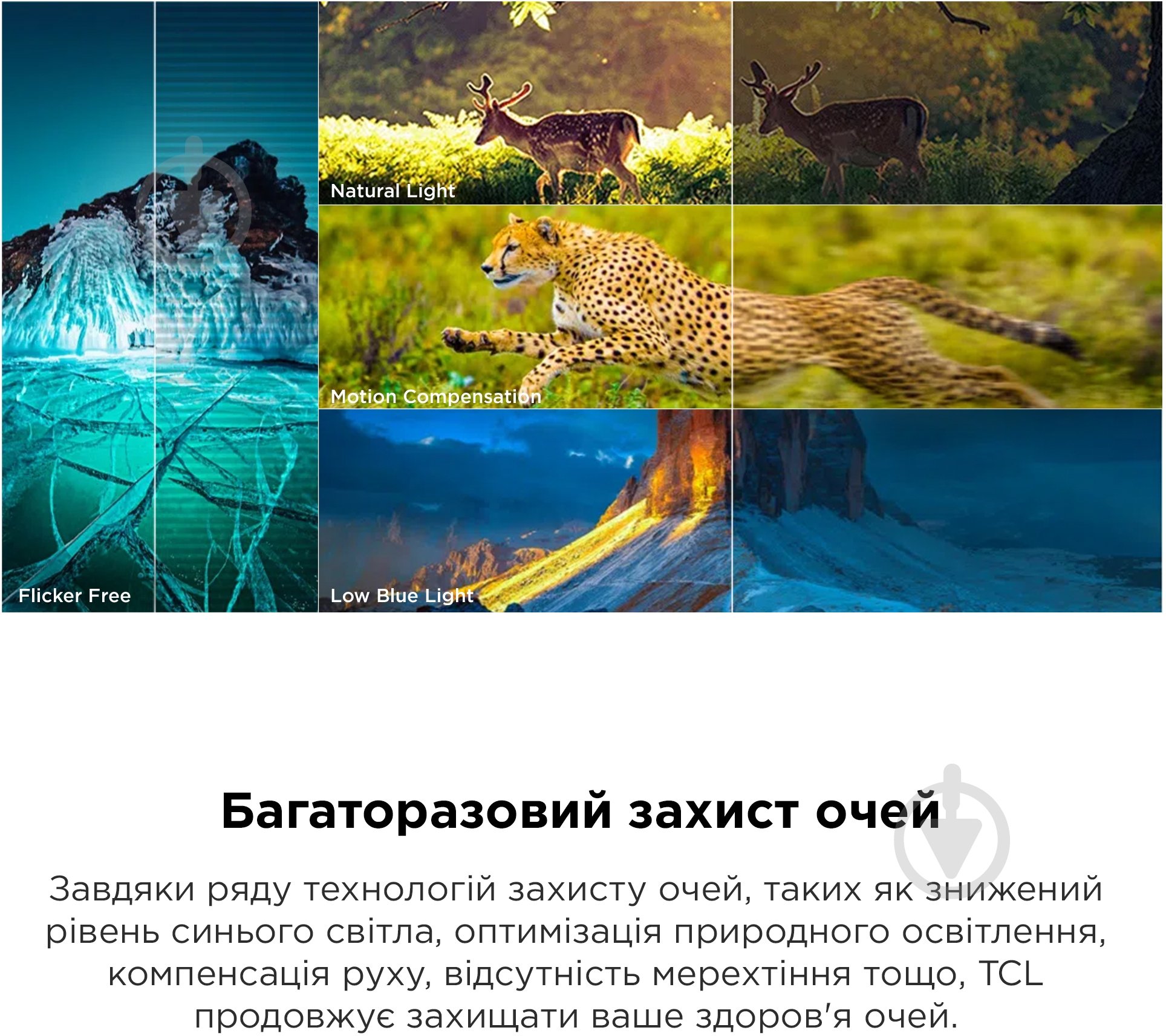 Телевізор TCL 65P755 - фото 12