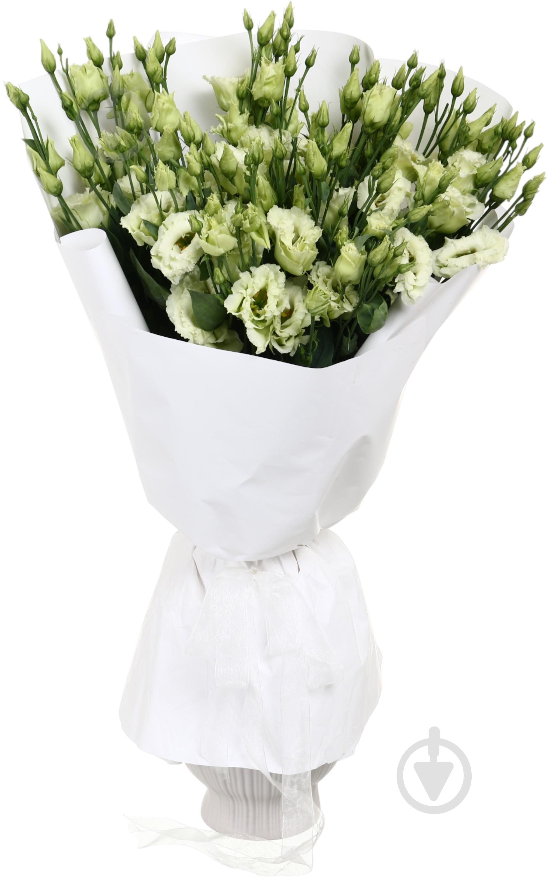 Эустома Alissa Green зеленая (Нидерланды) - фото 4 Эустома Alissa Green зеленая (Нидерланды) - фото 4