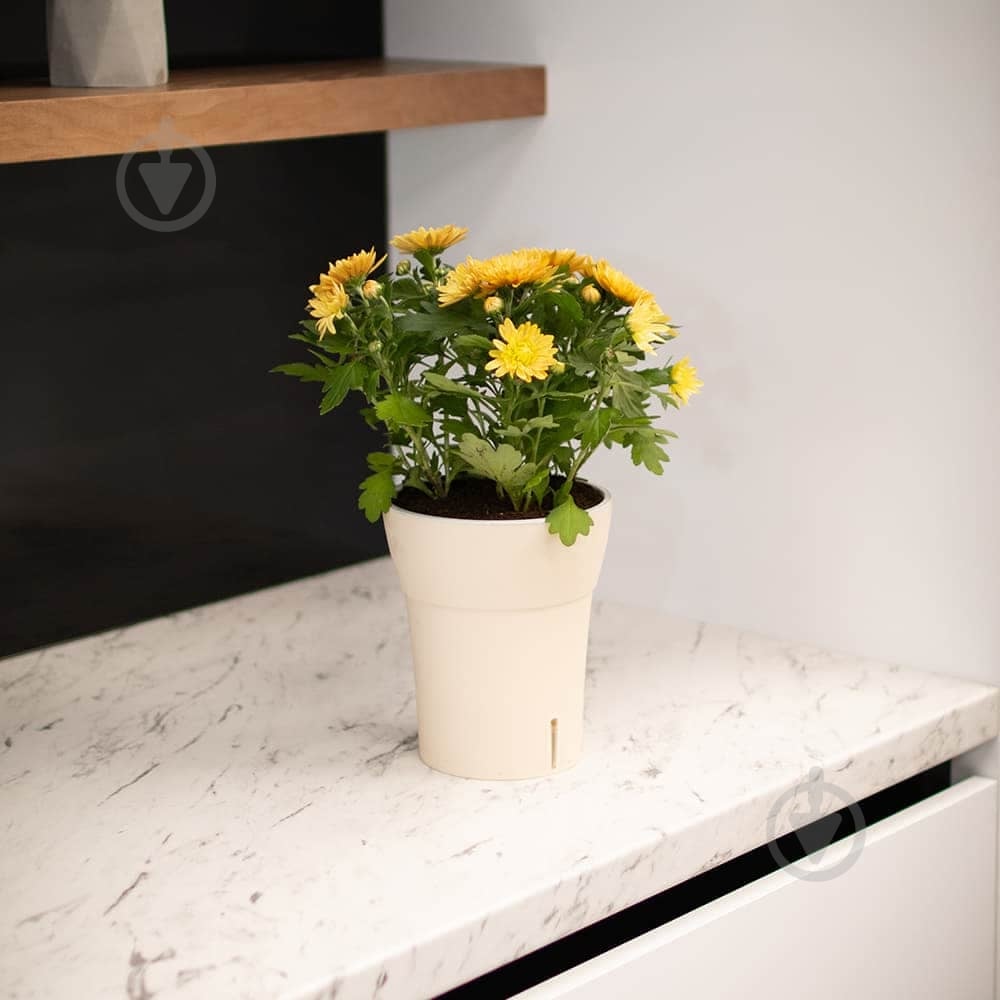 Вазон Dali-Dea круглый песочно-серый 2 л Santino (2022325) - фото 3 Вазон Dali-Dea круглый песочно-серый 2 л Santino (2022325) - фото 3