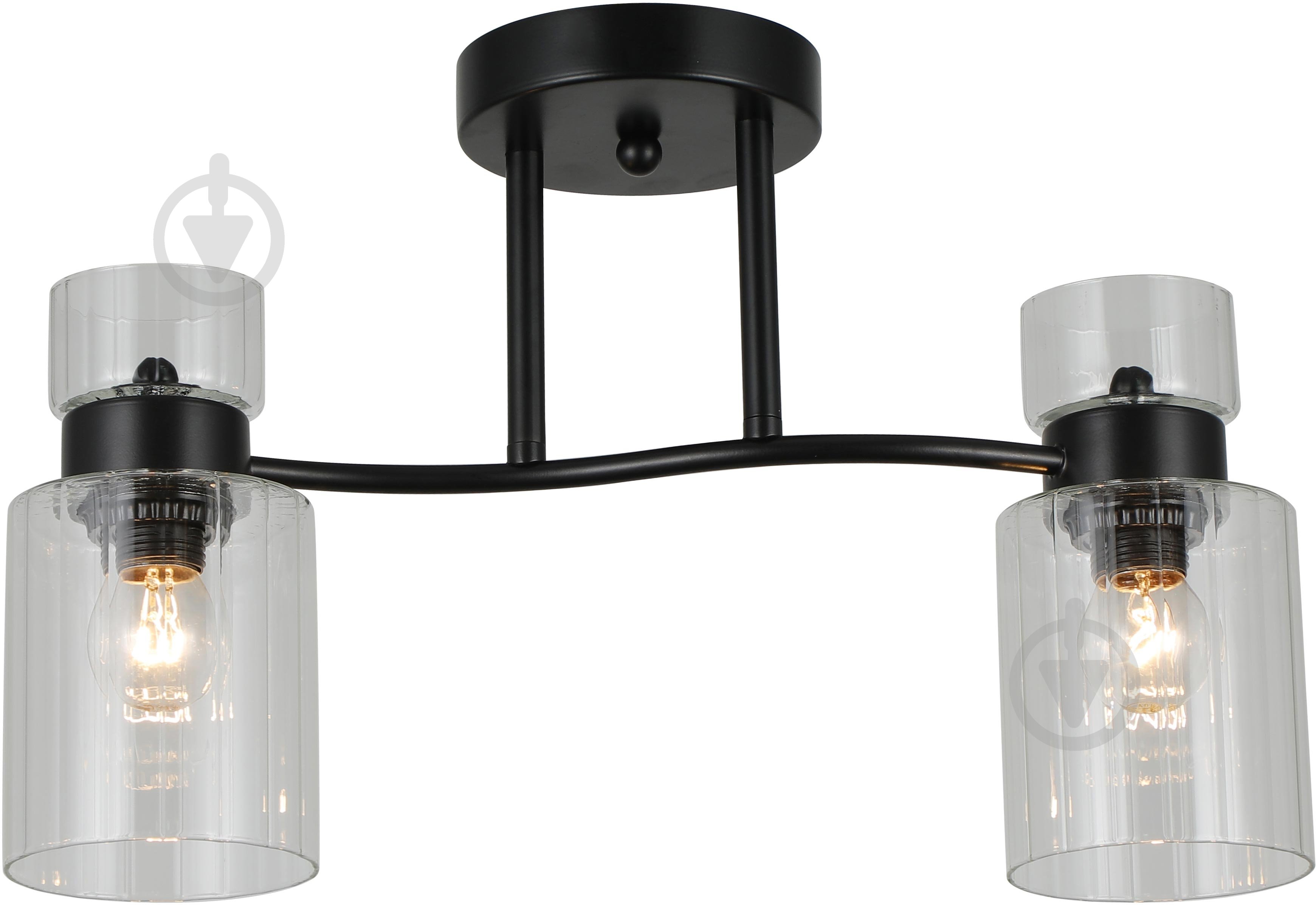 Люстра стельова Sensio Sculptor 2x40 Вт E27 чорний/прозорий ALG-07555/2-Bl - фото 2