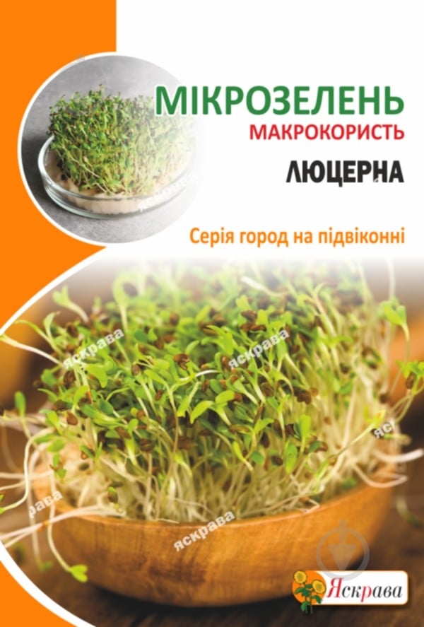 Насіння Яскрава Мікрозелень Люцерна - фото 1