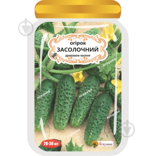 Семена огурец Засолочный 20-30 шт. Яскрава - фото 1 Семена огурец Засолочный 20-30 шт. Яскрава - фото 1
