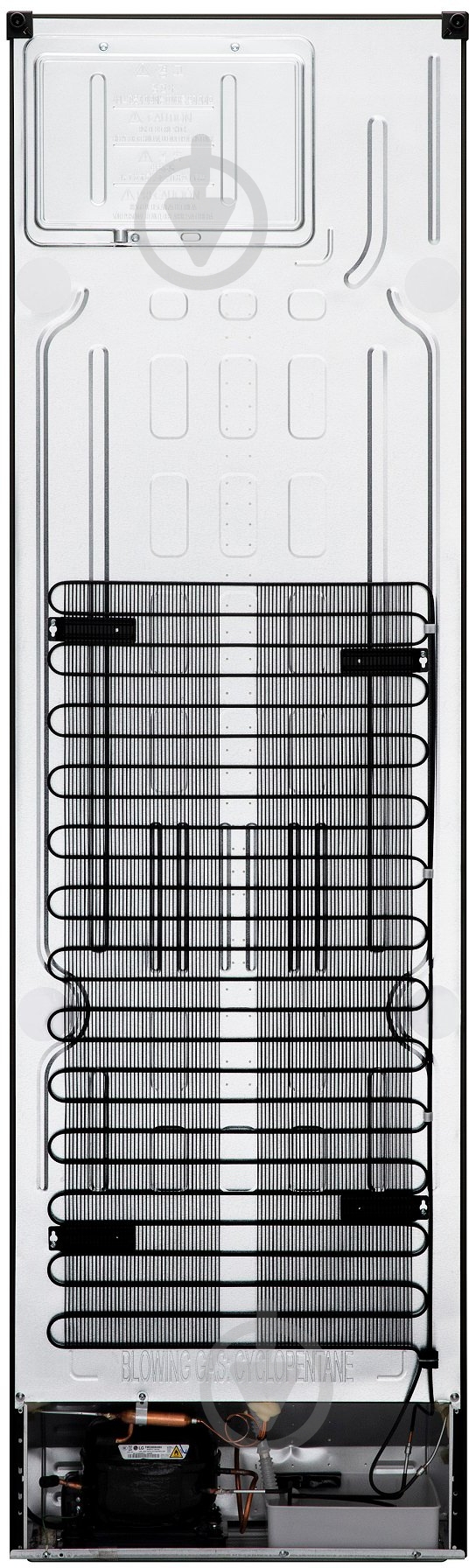 Холодильник LG GW-B509SBNM - фото 6