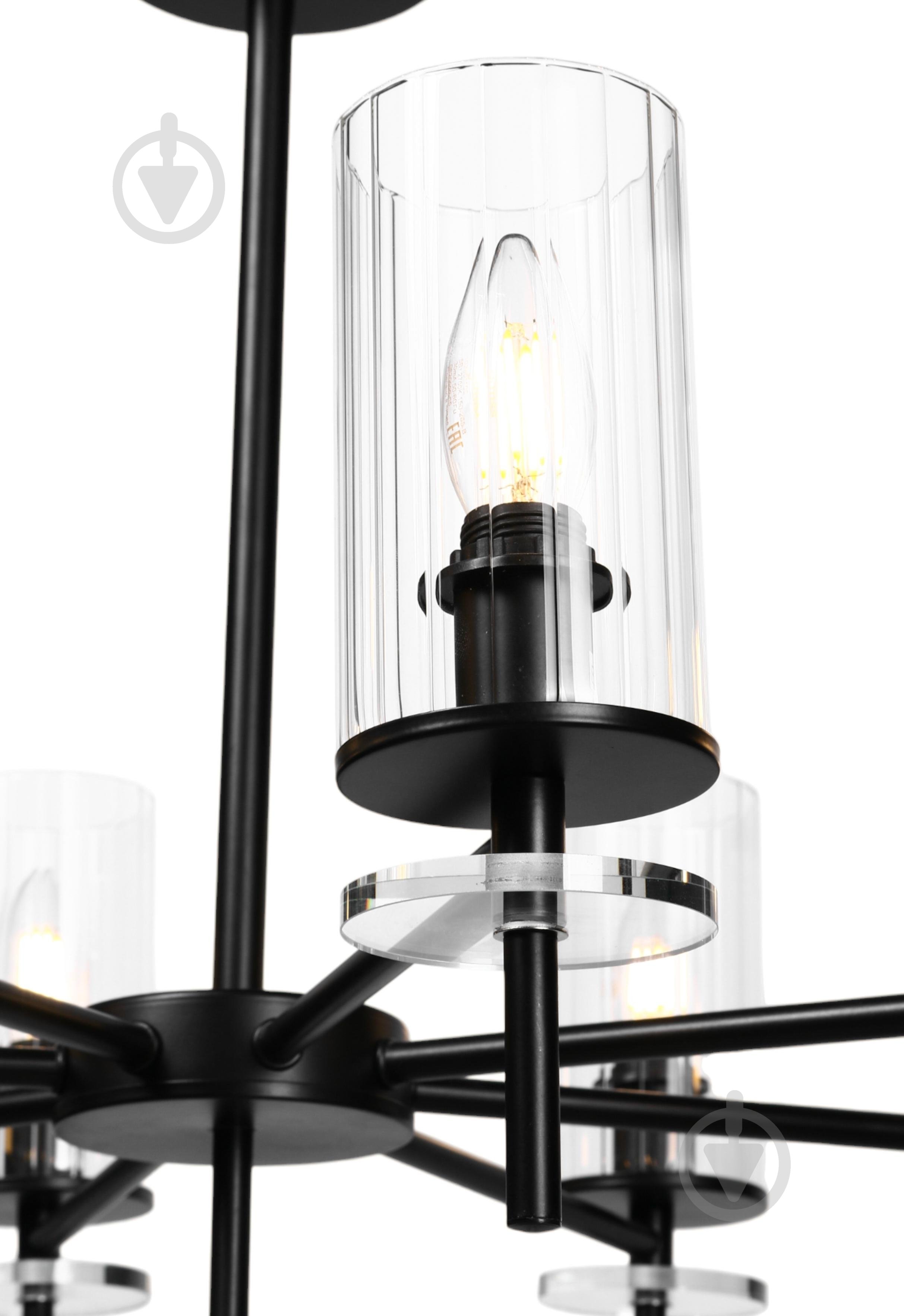 Люстра стельова Sensio Canis 8x40 Вт E14 чорний/прозорий ALG-74590/8 - фото 3 Люстра стельова Sensio Canis 8x40 Вт E14 чорний/прозорий ALG-74590/8 - фото 3