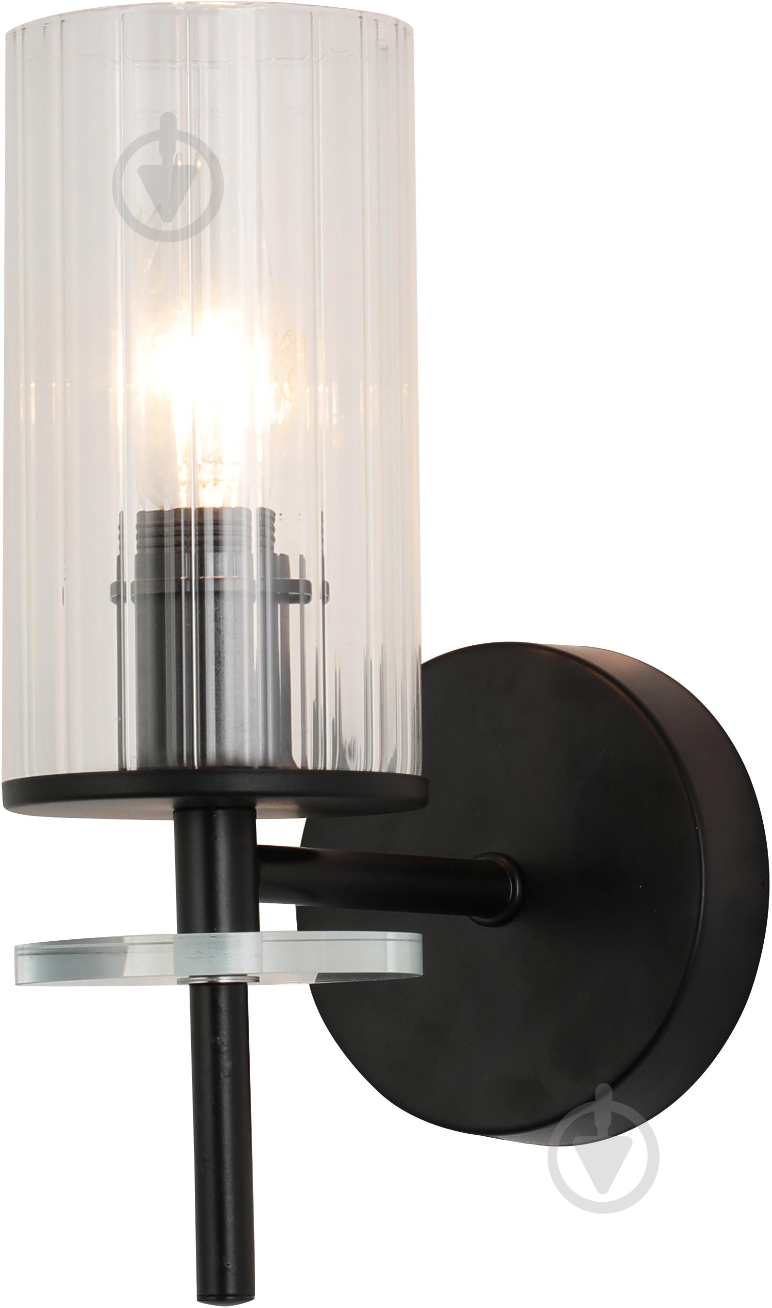 Светильник настенный Sensio Canis 40 Вт E14 черный/прозрачный ALG-74590/1W - фото 2