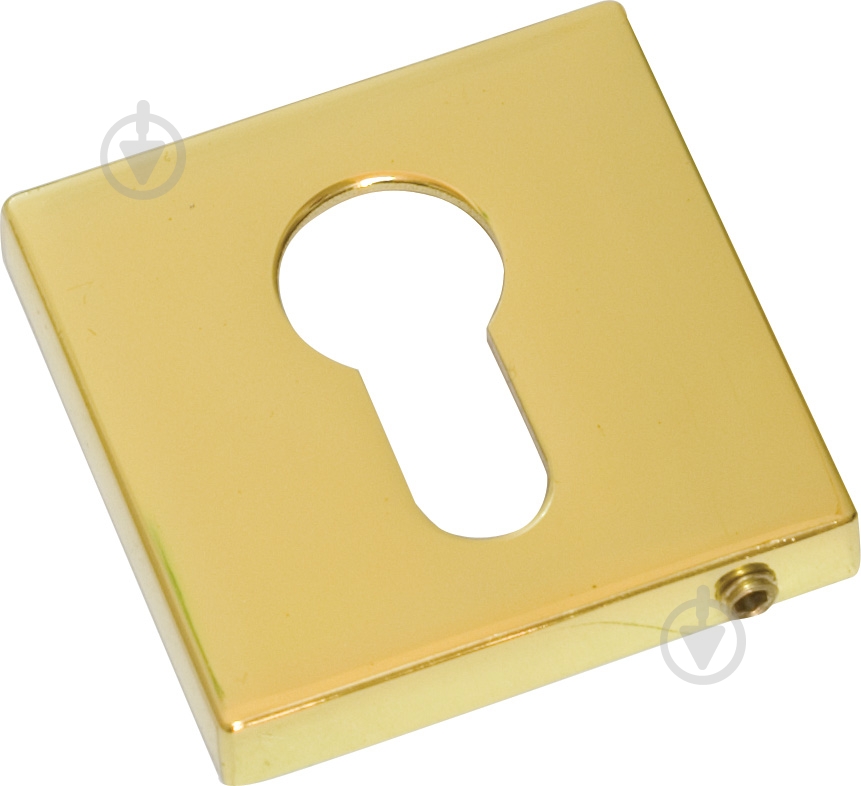 Накладка RDA RY-49 Aster полированная латунь - фото 2