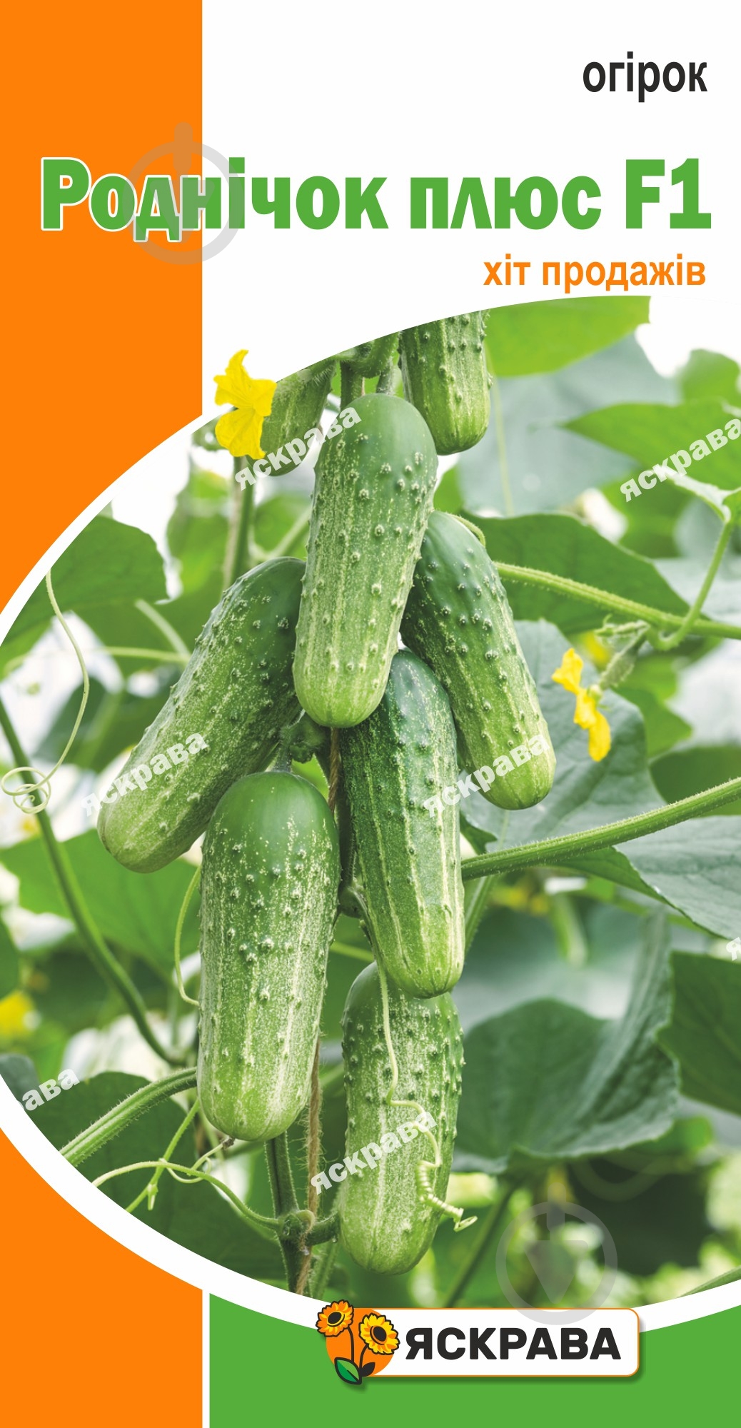 Насіння Яскрава огірок Роднічок плюс F1 2,5 г (4823069937669) - фото 1