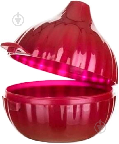 Контейнер Banquet для лука Acassa 55072050 - фото 1 Контейнер Banquet для лука Acassa 55072050 - фото 1