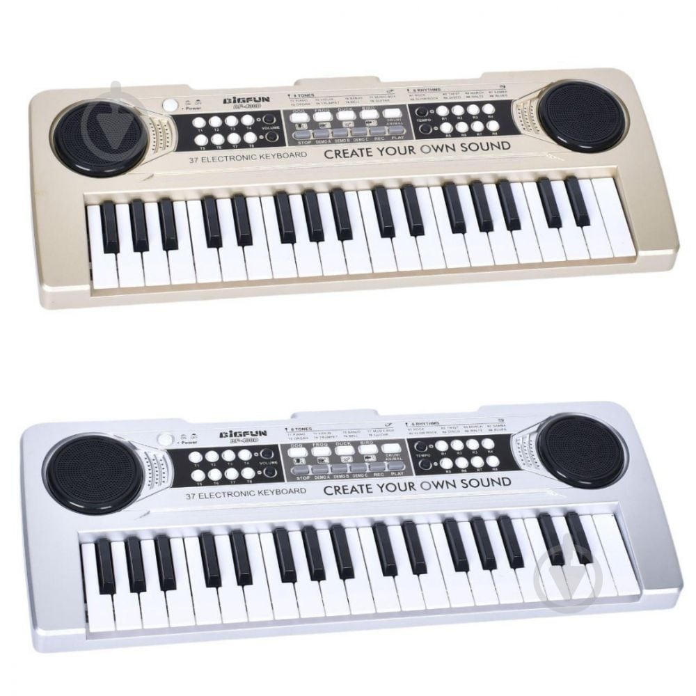 Синтезатор BIGFUN BF-430D1 - фото 1 Синтезатор BIGFUN BF-430D1 - фото 1
