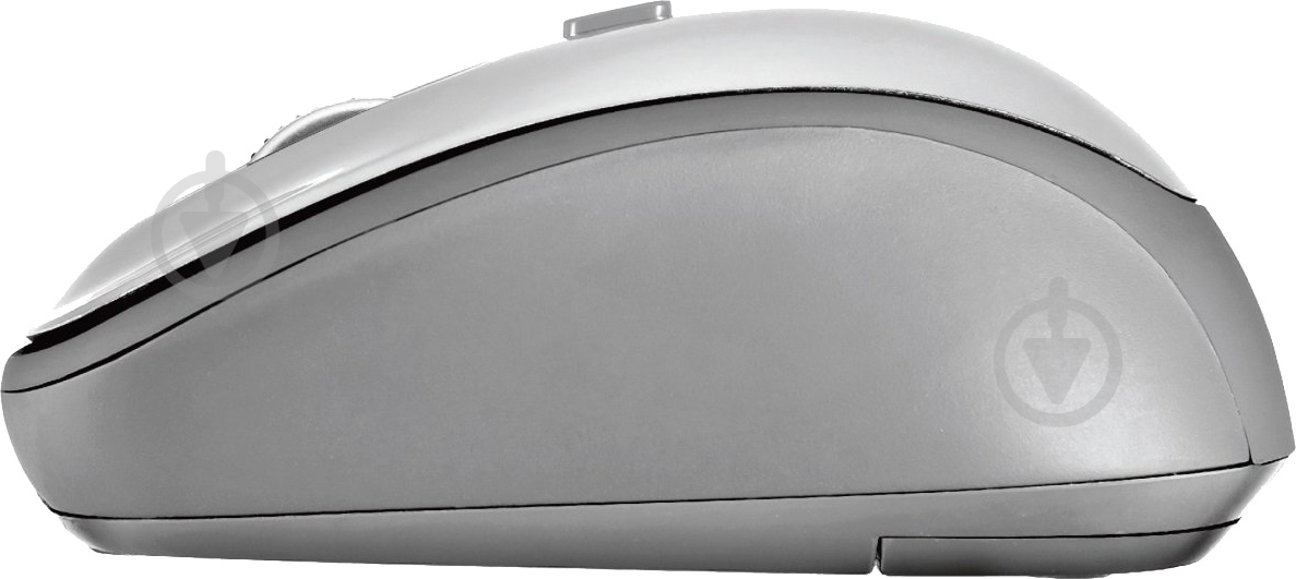 Мышь Trust Yvi Wireless (23386) white (23386) - фото 2