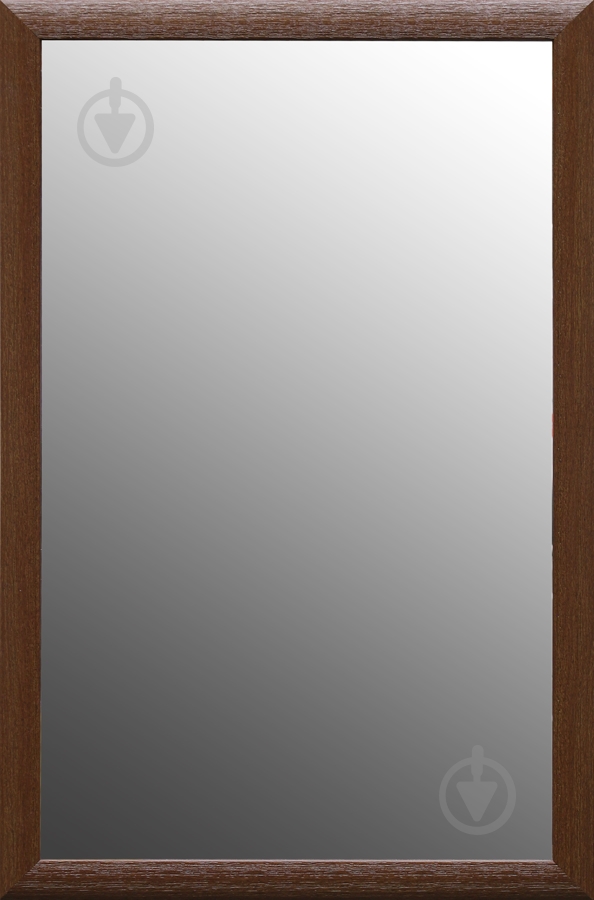 Зеркало Інформтех ЭЗ-00652 58х88 - фото 1