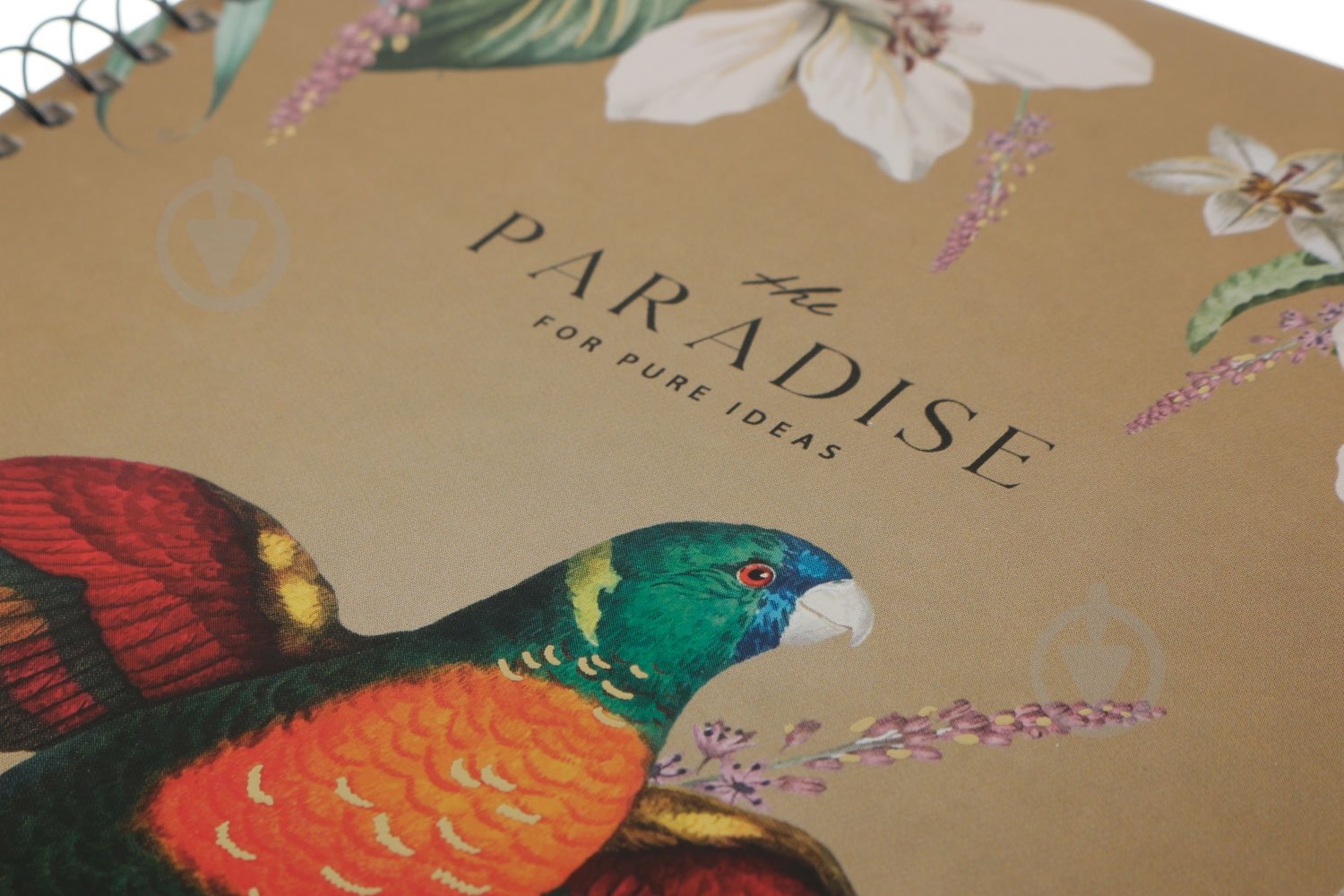 Тетрадь школьная А5 96 листов в клеточку A5-SC-096-6056K Student Школярик - фото 19