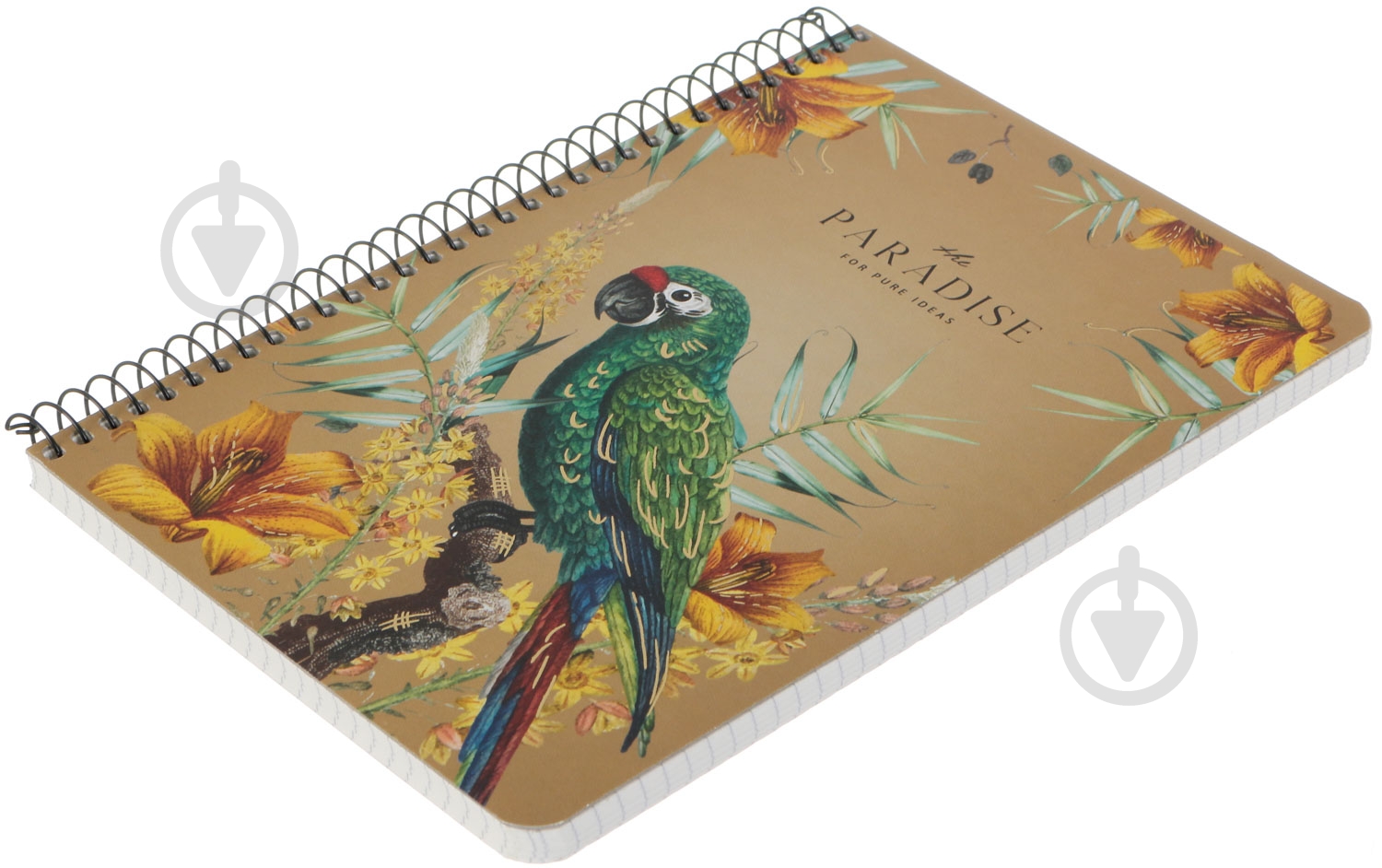 Тетрадь школьная А5 96 листов в клеточку A5-SC-096-6056K Student Школярик - фото 26