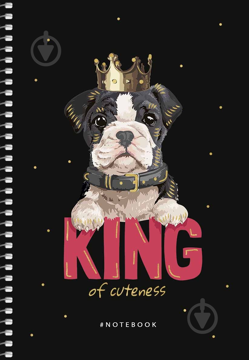 Тетрадь школьная А5 80 листов в клеточку A5-SC-080-6077K Student Школярик - фото 5