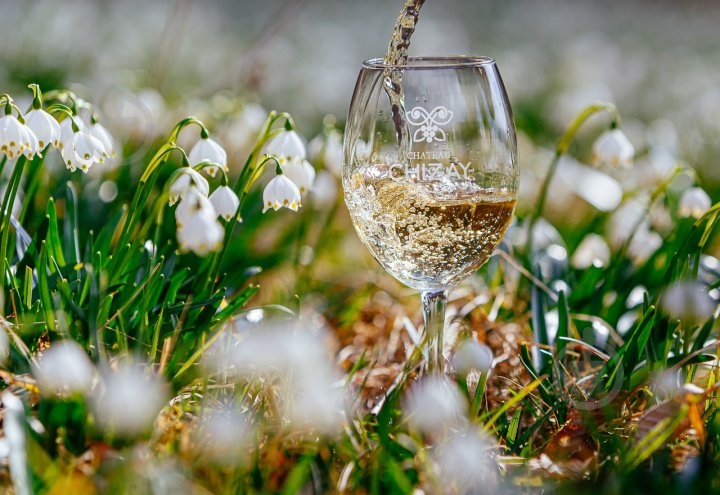 Вино Chateau Chizay Riesling 750 мл - фото 4 Вино Chateau Chizay Riesling 750 мл - фото 4