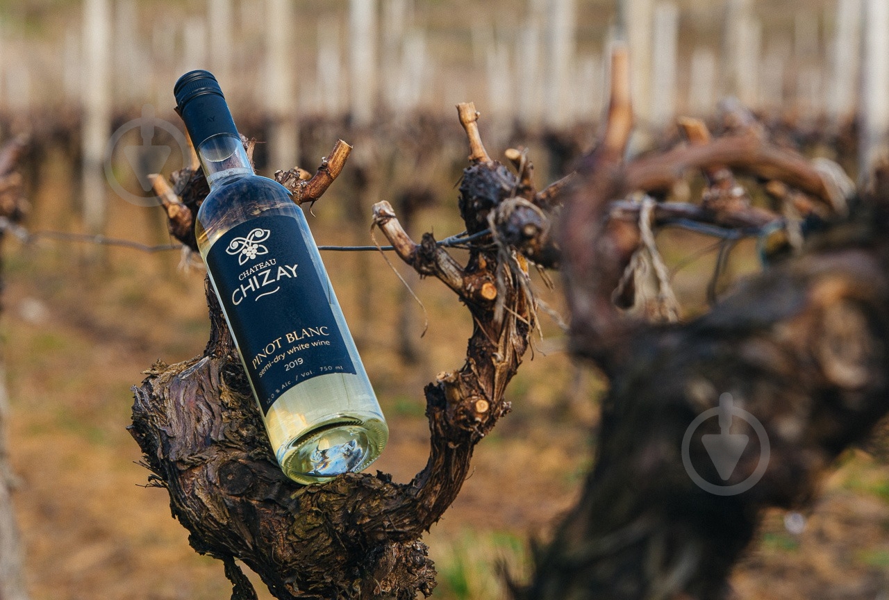 Вино Chateau Chizay Pinot Blanc 750 мл - фото 5