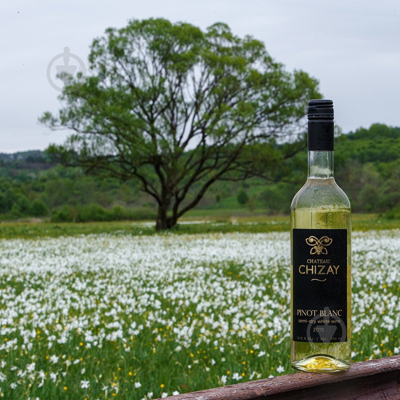 Вино Chateau Chizay Pinot Blanc 750 мл - фото 3