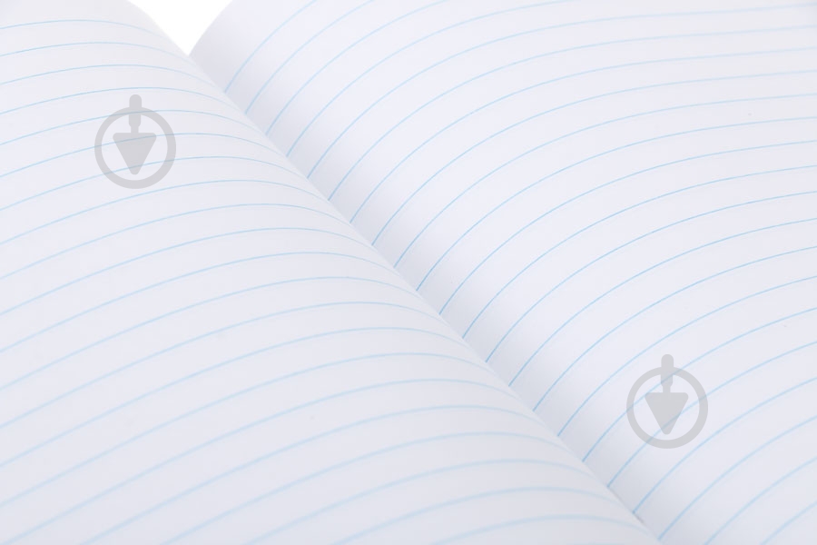 Набір шкільних зошитів #Школа 4 шт. 24 аркуша в лінію SC19-239-2 KITE - фото 2