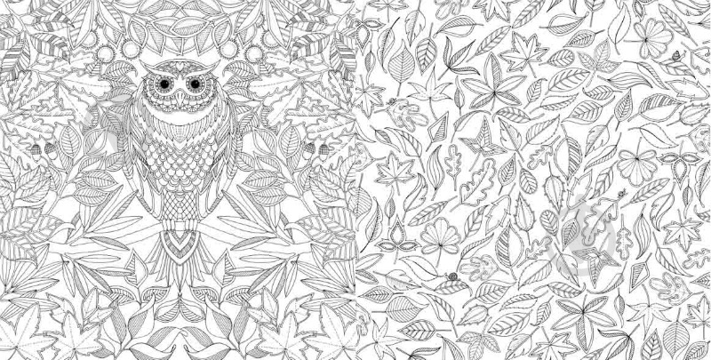 Книга Джоанна Басфорд «Чарівний сад. Розмальовка» 978-617-679-080-8 - фото 5