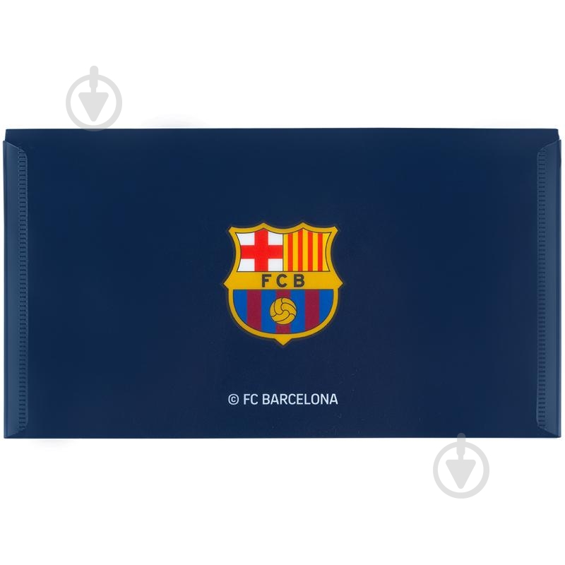 Папка на кнопке DL FC Barcelona KITE - фото 2