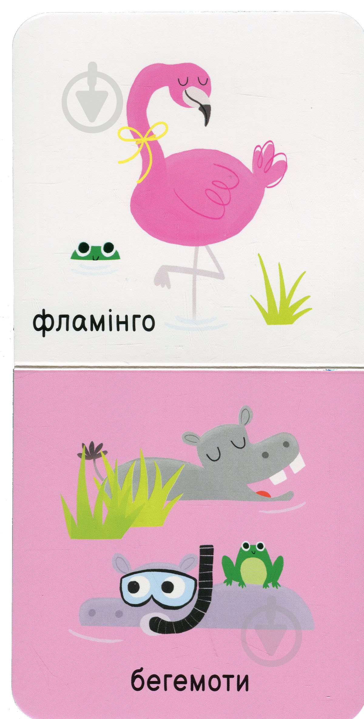 Книга «Мої тваринки» 978-617-09-8961-1 - фото 6