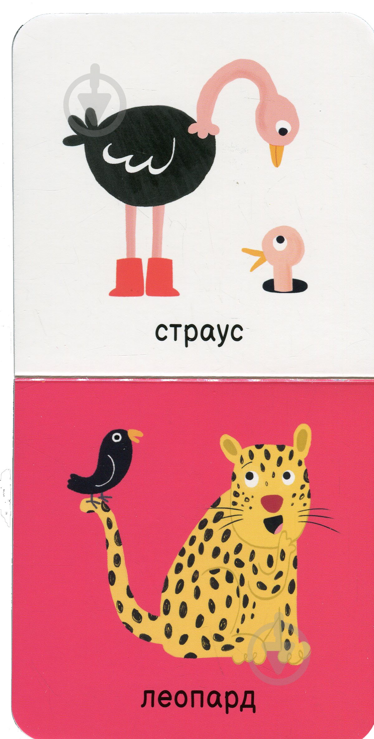 Книга «Мої тваринки» 978-617-09-8961-1 - фото 4