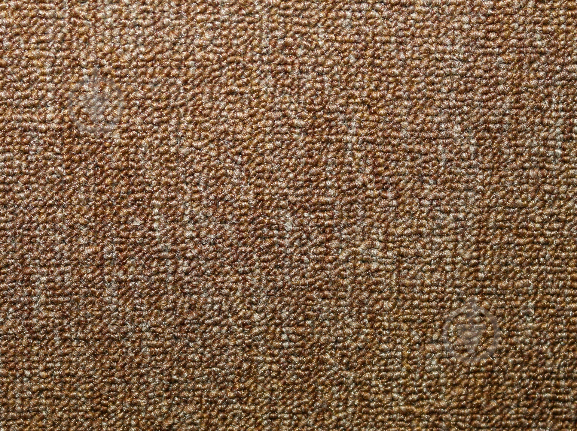 Ковролин Betap Rambo 93 4 м - фото 2