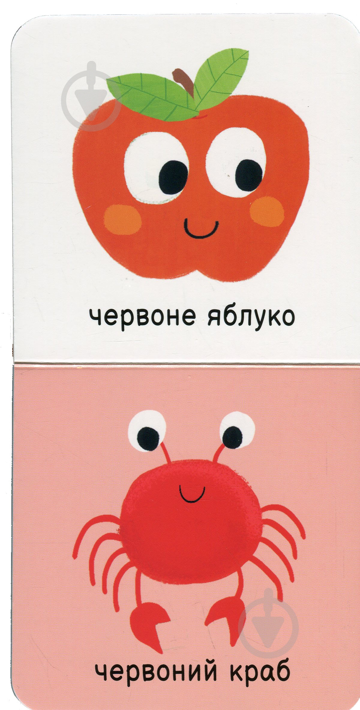 Книга «Мої кольори» 978-617-09-8958-1 - фото 5
