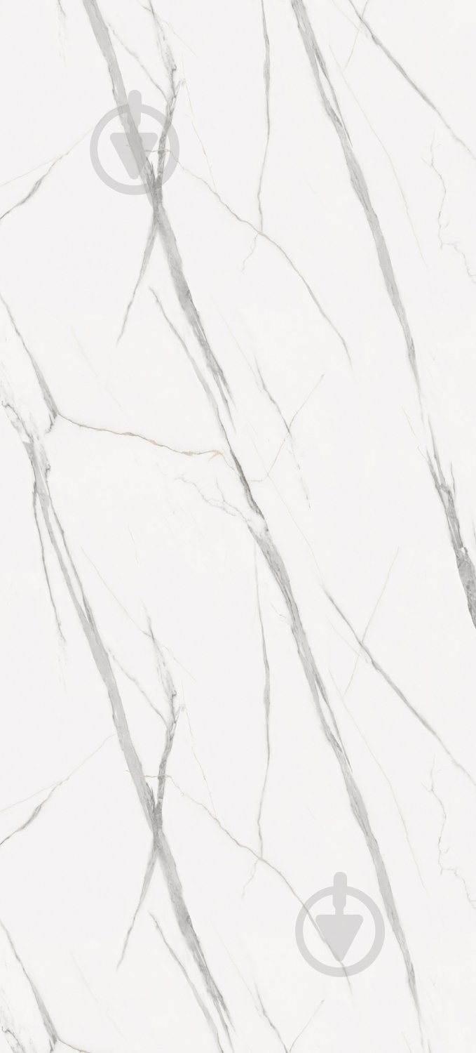 Панель SPC Vilo™ Calacatta White 2650X1200 мм - фото 1