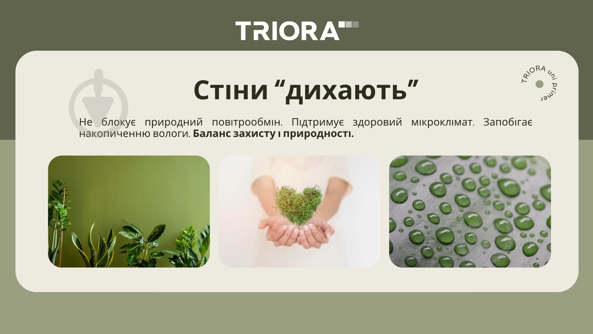 Грунтовка универсальная Triora 5 л - фото 8