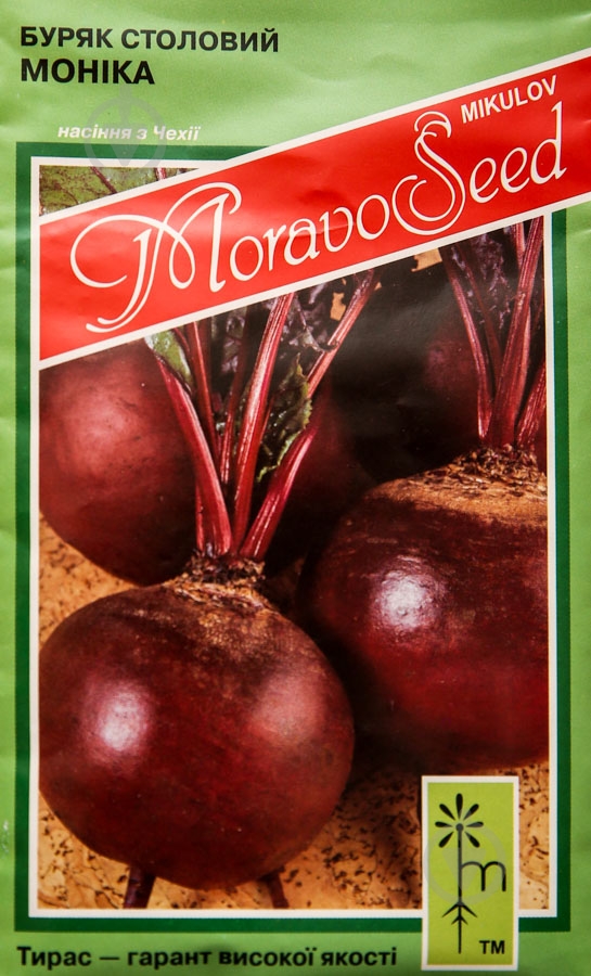 Семена свекла Моника 3 г MoravoSeeds - фото 1 Семена свекла Моника 3 г MoravoSeeds - фото 1