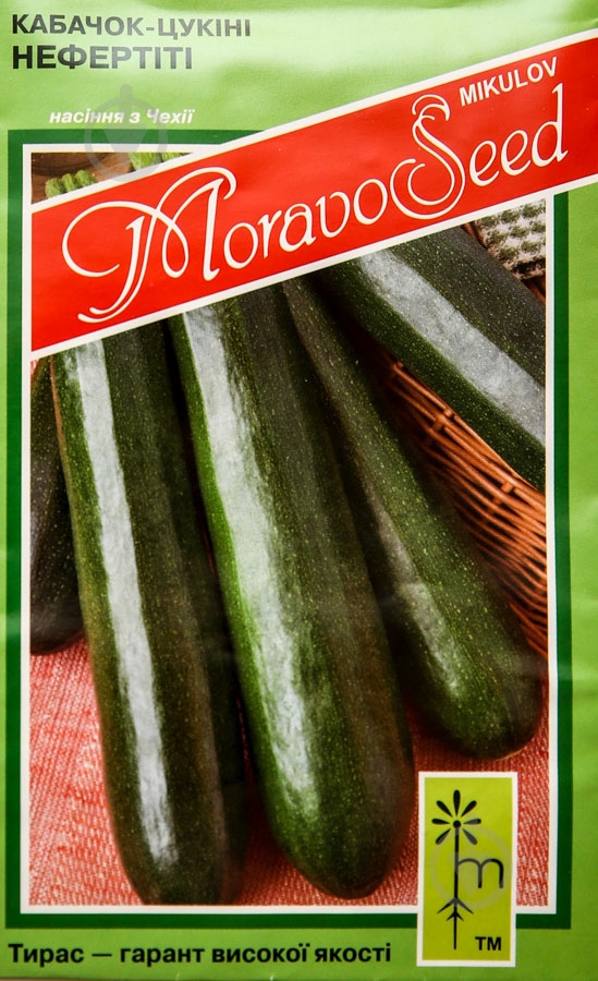 Насіння MoravoSeeds кабачок Нефертіті 2,5 г (4820163680187) - фото 1 Насіння MoravoSeeds кабачок Нефертіті 2,5 г (4820163680187) - фото 1