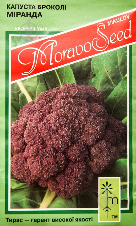 Насіння капуста броколі Міранда 0,2 г MoravoSeeds - фото 1