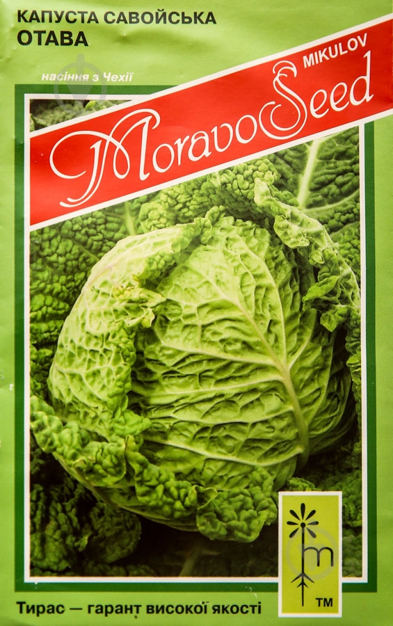 Семена MoravoSeeds капуста савойская Отава 0,2 г (4820163680491) - фото 1