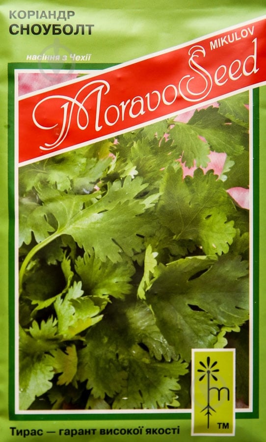 Семена кориандр Сноуболт 2 г MoravoSeeds - фото 1 Семена кориандр Сноуболт 2 г MoravoSeeds - фото 1