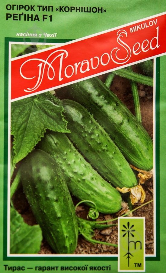 Семена огурец Регина F1 1,2 г MoravoSeeds - фото 1