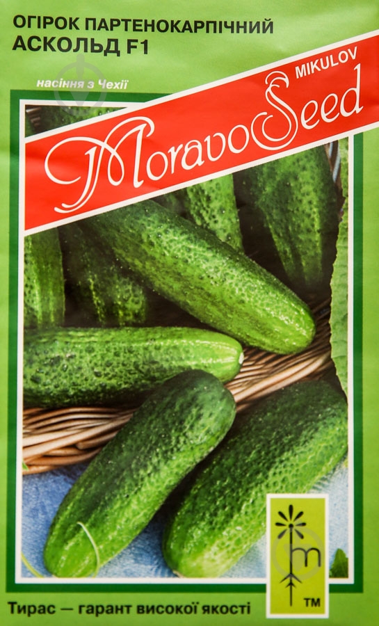 Семена огурец Аскольд F1 1,2 г MoravoSeeds - фото 1 Семена огурец Аскольд F1 1,2 г MoravoSeeds - фото 1